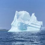 Iceberg Alley Boat Tours 2024